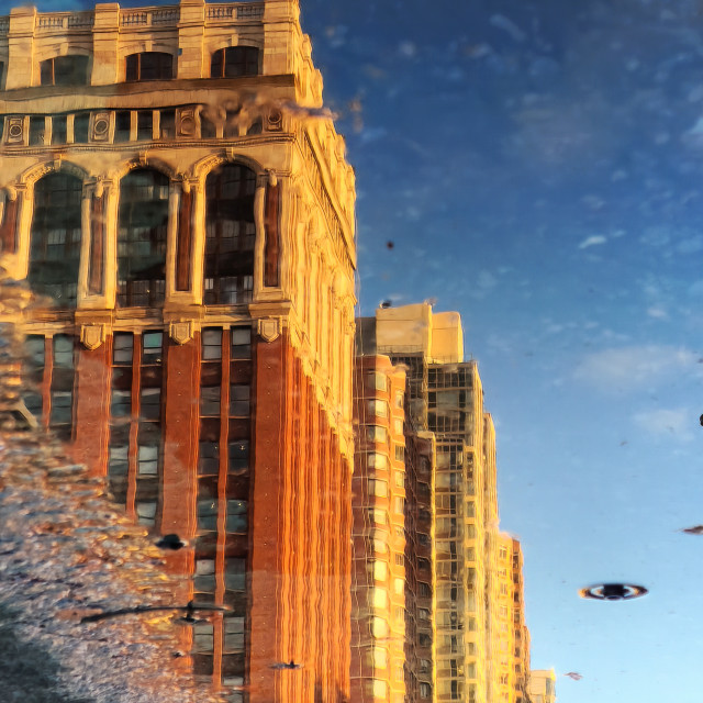 "New York City as Apocalyptic Novel Cover" by Nancy E Hightower - £35.00 "New York City as Apocalyptic Novel Cover" stock image