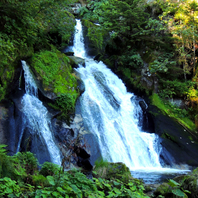 "Germany - the black forest - water falls" stock image