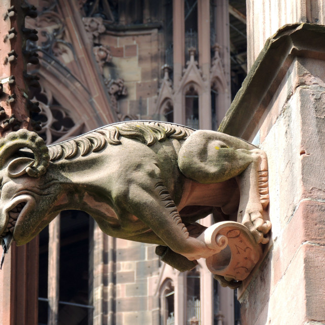 "Freiburg, Germany - Gargoyles" by Amit Mendelsohn - £50.00 "Freiburg, Germany - Gargoyles" stock image