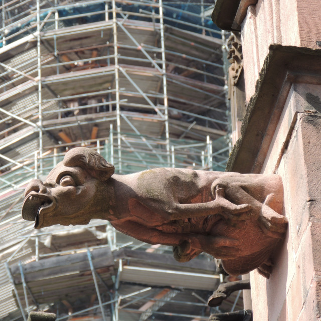 "Freiburg, Germany - Gargoyles" by Amit Mendelsohn - £50.00 "Freiburg, Germany - Gargoyles" stock image