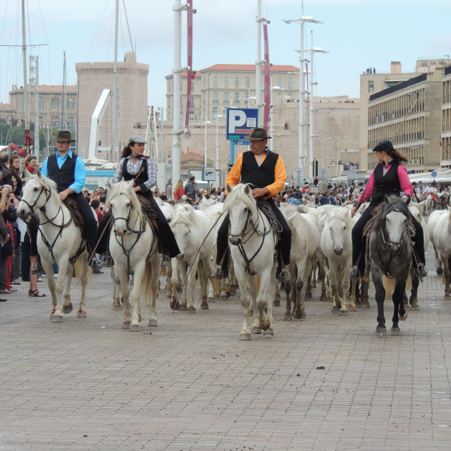 "Riders and their flock" by Amit Mendelsohn - £50.00 "Riders and their flock" stock image