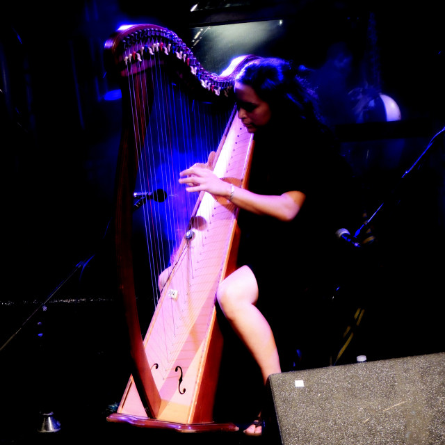 "A harpist" by Amit Mendelsohn - £50.00 "A harpist" stock image