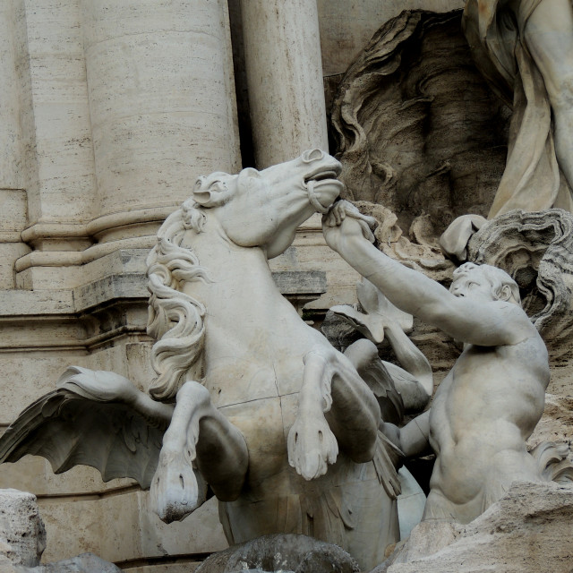 "Fontana di Trevi - Detail" by Amit Mendelsohn - £50.00 "Fontana di Trevi - Detail" stock image