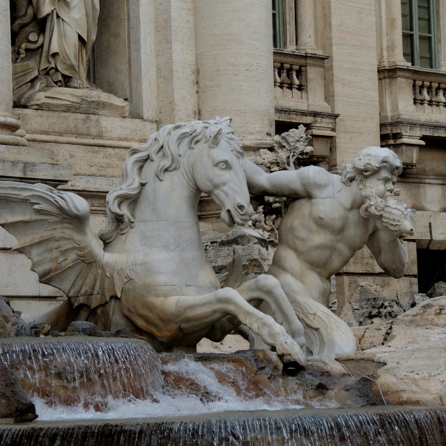"Fontana di Trevi - Detail" by Amit Mendelsohn - £50.00 "Fontana di Trevi - Detail" stock image