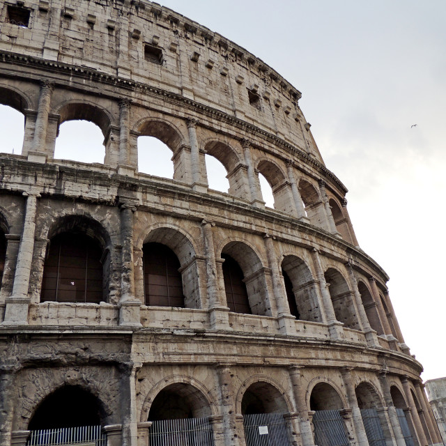 "The coliseum" by Amit Mendelsohn - £50.00 "The coliseum" stock image