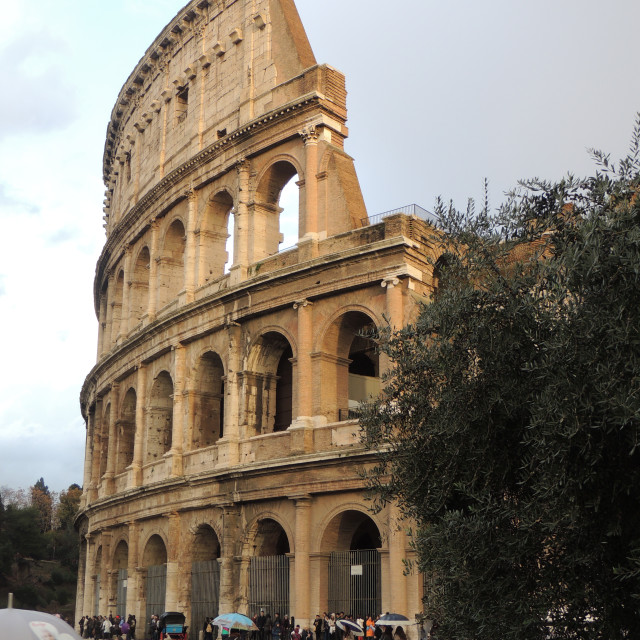 "The coliseum" by Amit Mendelsohn - £50.00 "The coliseum" stock image