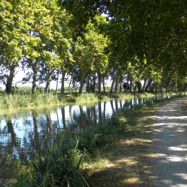 "Canal de Midi" by Amit Mendelsohn - £50.00 "Canal de Midi" stock image