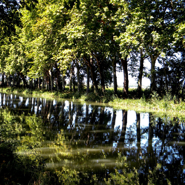 "Canal de Midi" by Amit Mendelsohn - £50.00 "Canal de Midi" stock image