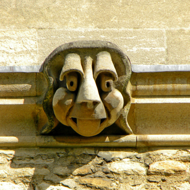 "Gargoyles IN Oxford 6" by Amit Mendelsohn - £50.00 "Gargoyles IN Oxford 6" stock image