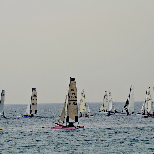 "Sailing competition" by Amit Mendelsohn - £50.00 "Sailing competition" stock image