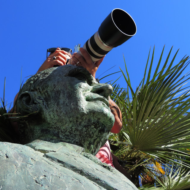 "Paparazzi on the hide" stock image