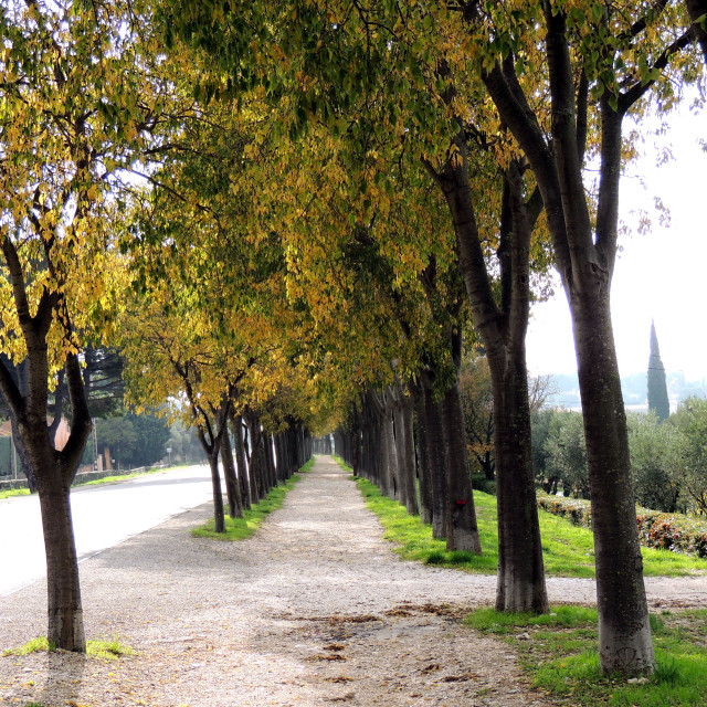 "Cassis the way to the center" stock image