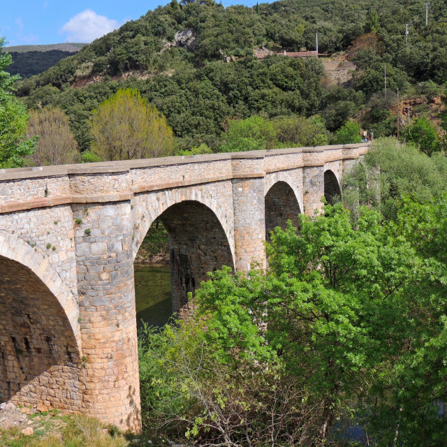 "Ceps - The bridge" stock image