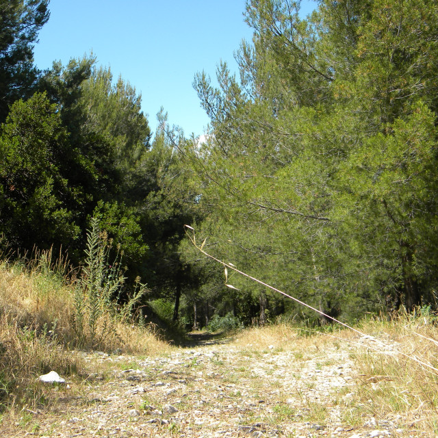 "pathway in the country side" stock image