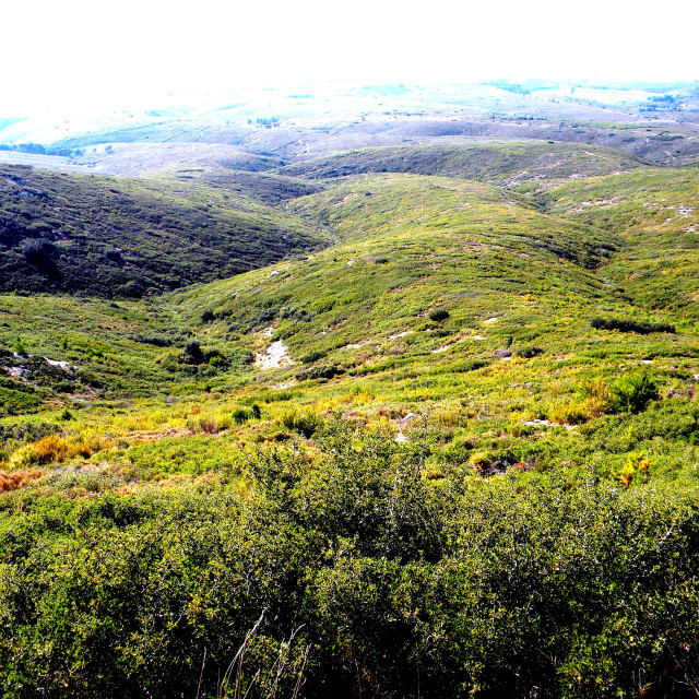 "The terrain of provence" stock image