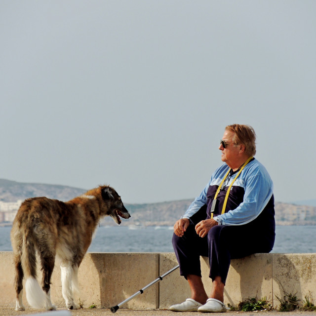 "Companion" by Amit Mendelsohn - £50.00 "Companion" stock image
