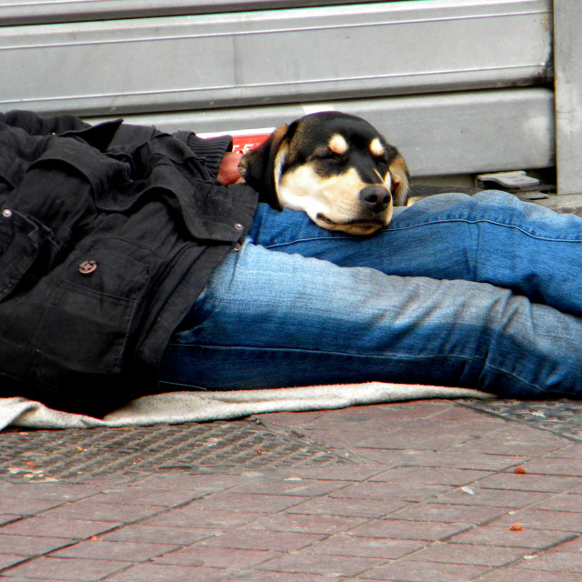 "Sleep in comfort" by Amit Mendelsohn - £50.00 "Sleep in comfort" stock image