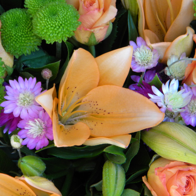 "Flower arrangement" by Amit Mendelsohn - £50.00 "Flower arrangement" stock image