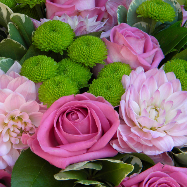 "Flower arrangement" by Amit Mendelsohn - £50.00 "Flower arrangement" stock image