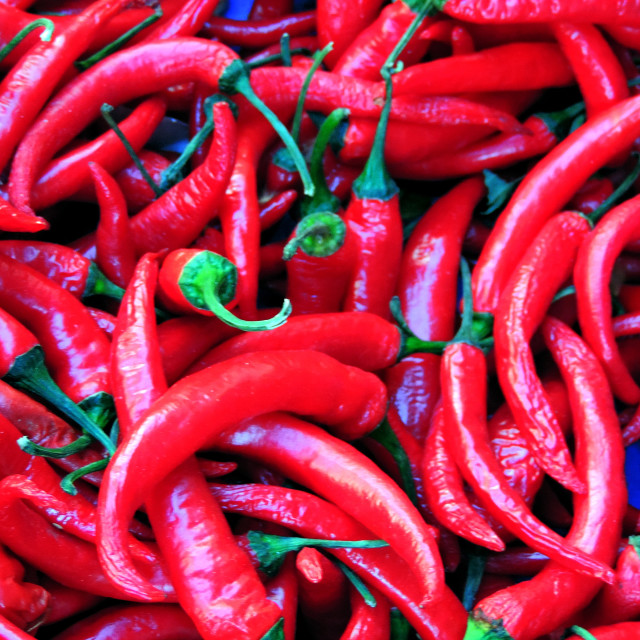 "Red chilly peppers" by Amit Mendelsohn - £50.00 "Red chilly peppers" stock image