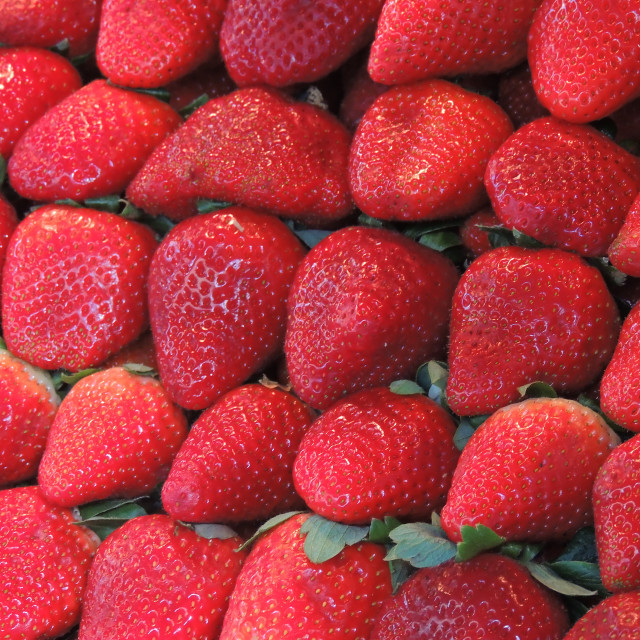 "Strawberries" stock image