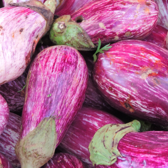 "Aubergines" by Amit Mendelsohn - £50.00 "Aubergines" stock image