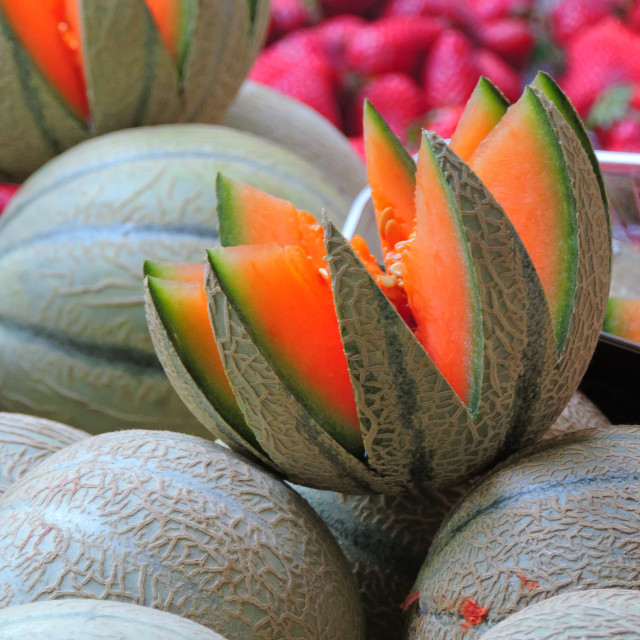 "Melon" stock image