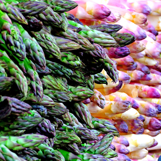 "Asparagus" by Amit Mendelsohn - £50.00 "Asparagus" stock image