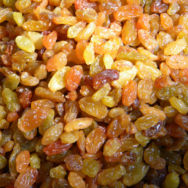 "Raisin" by Amit Mendelsohn - £50.00 "Raisin" stock image