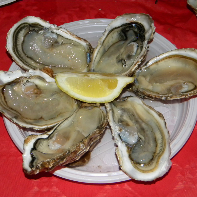 "Oysters" stock image