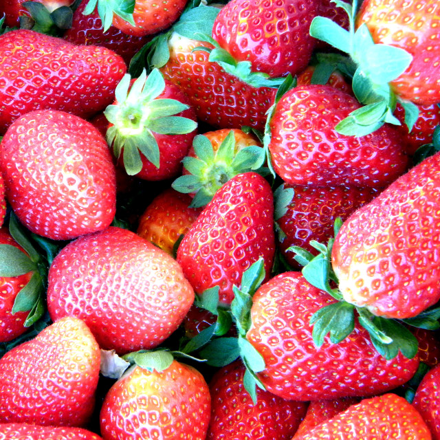 "Strawberries" stock image