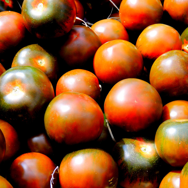 "tomatoes" stock image