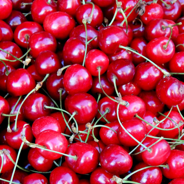 "cherries" stock image