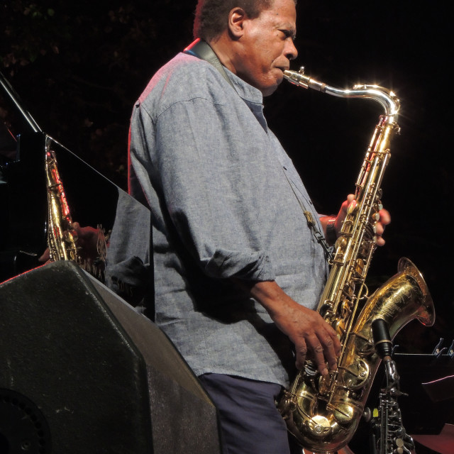 "Waine Shorter - Saxophone" by Amit Mendelsohn - £50.00 "Waine Shorter - Saxophone" stock image