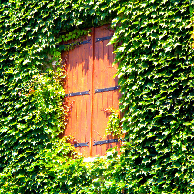 "Window covered" stock image