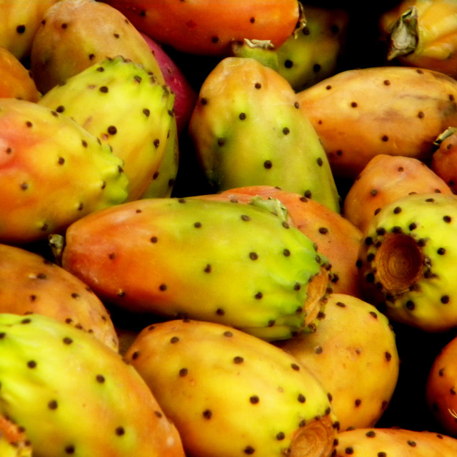 "Barbary fig" by Amit Mendelsohn - £50.00 "Barbary fig" stock image