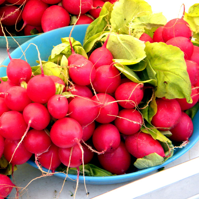 "Radish" stock image