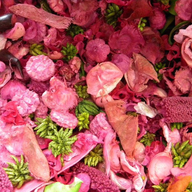 "Dried flower mix" by Amit Mendelsohn - £50.00 "Dried flower mix" stock image