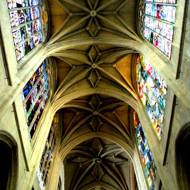 "The ceiling of Saint-Paul-Saint-Louis" by Amit Mendelsohn - £50.00 "The ceiling of Saint-Paul-Saint-Louis" stock image