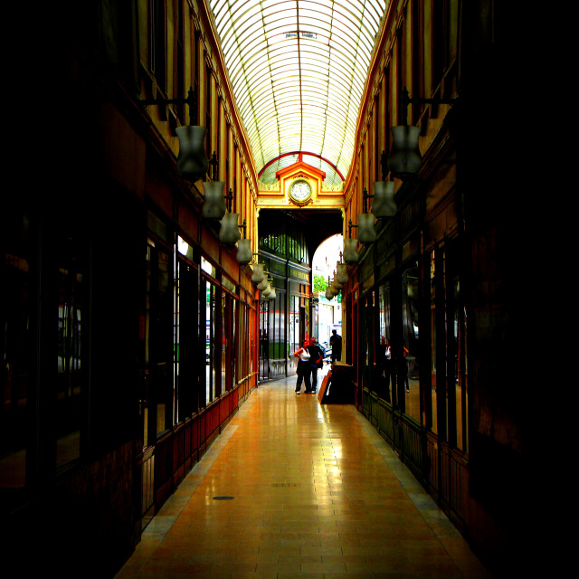"A coverted passage - Paris" by Amit Mendelsohn - £50.00 "A coverted passage - Paris" stock image