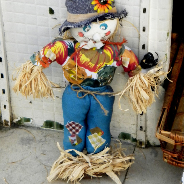 "A rag doll" by Amit Mendelsohn - £50.00 "A rag doll" stock image