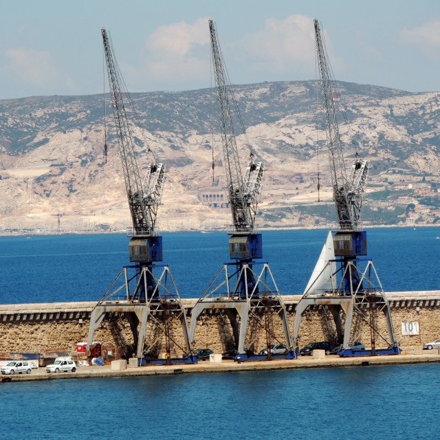 "The 3 cranes" by Amit Mendelsohn - £50.00 "The 3 cranes" stock image