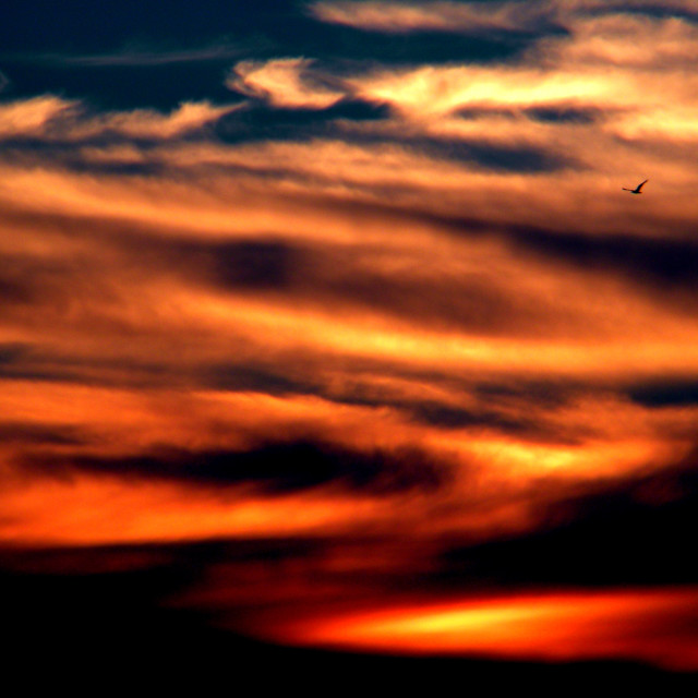 "Sky art 5" by Amit Mendelsohn - £50.00 "Sky art 5" stock image