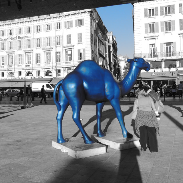 "The blue camel" by Amit Mendelsohn - £50.00 "The blue camel" stock image