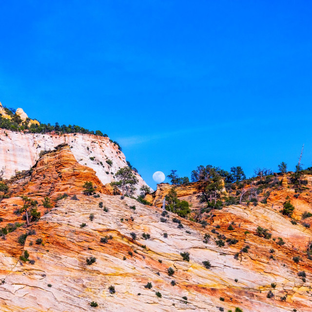 "Zion moon" stock image