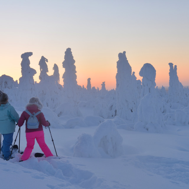 "Fairytale land" stock image