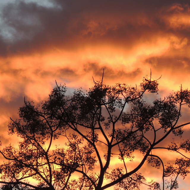 "Sunset" stock image