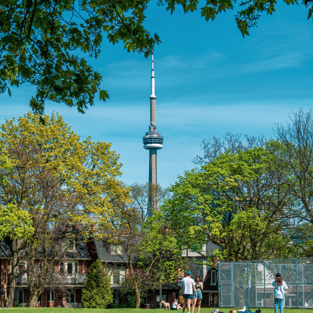 "CN Tower from Trinity Bellwoods Park Afternoon" stock image