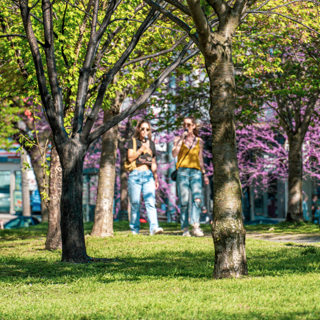 "Ice Cream at the Park" stock image