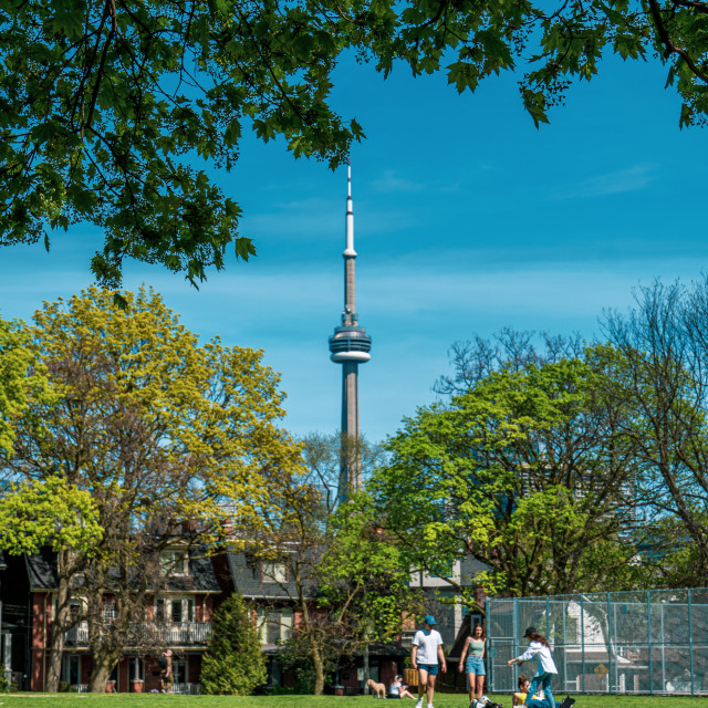 "CN Tower from Trinity Bellwoods Park Afternoon" stock image